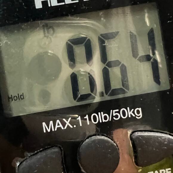 Vuori Ripstop Shorts Womens XS Black Camo Walking Running Sporty Casual Gorpcore - Picture 14 of 14